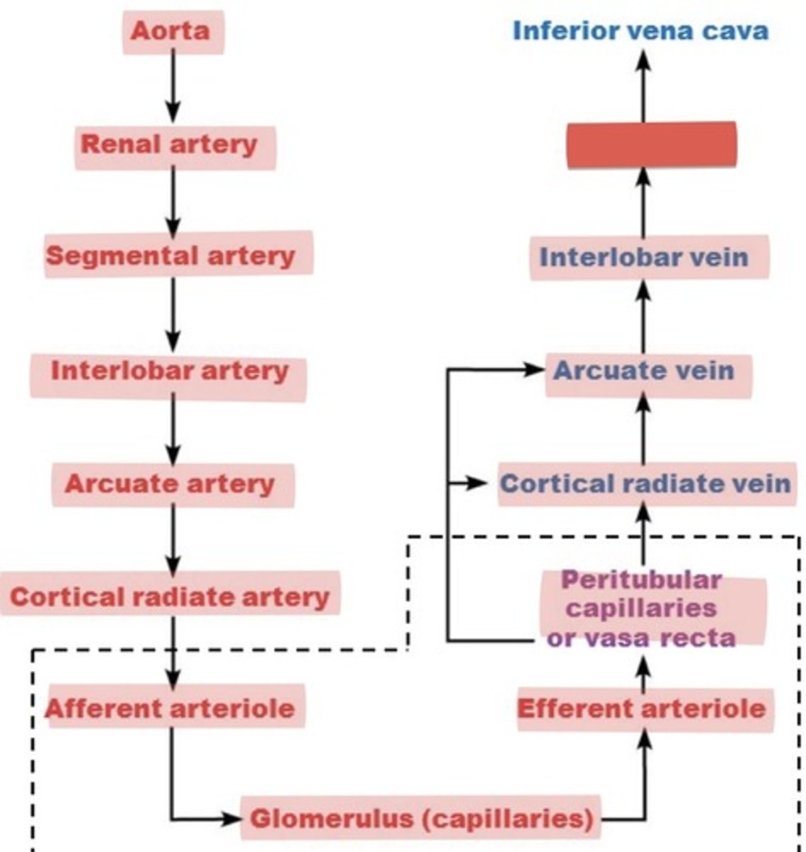 <p>What is this?</p>