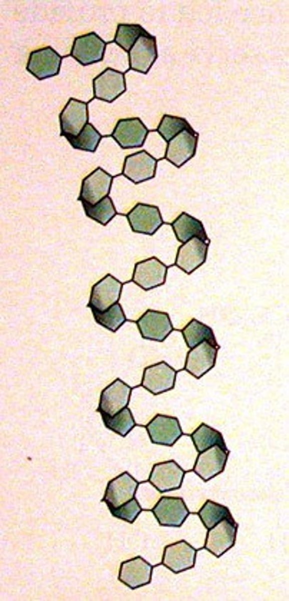 <p>- Unbranched and helix shaped (coiled)</p><p>- Only 1,4 α-glycosidic bonds</p>