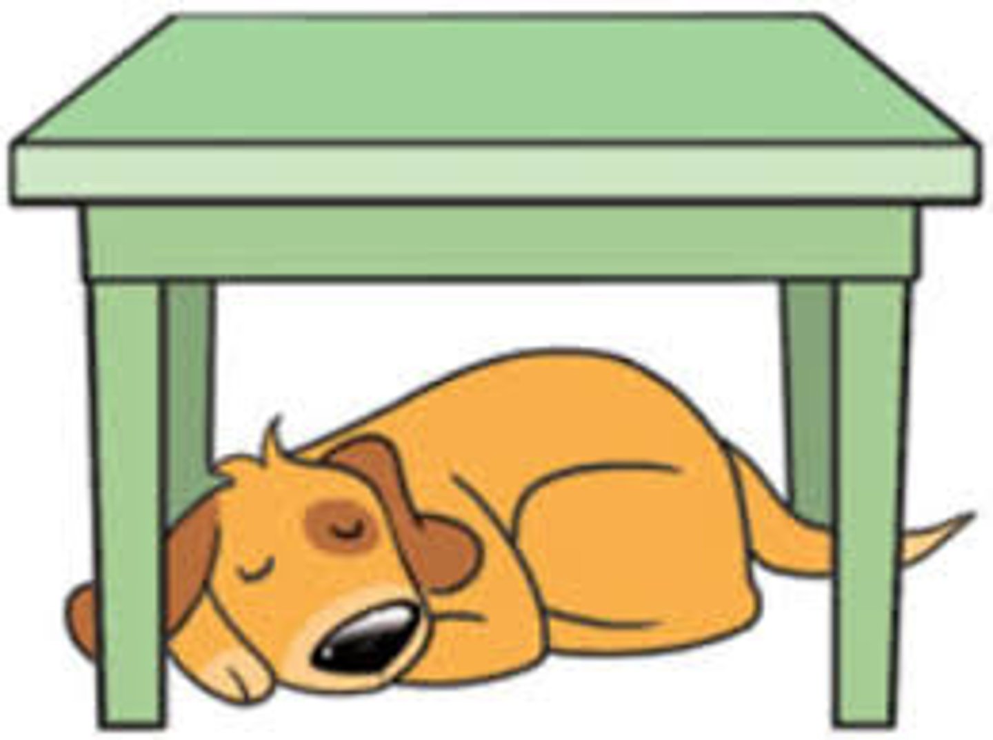 <p>The dog lies under the table.</p>