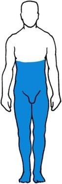 Complete loss of all sensory modalities below level of lesion; associated with motor paralysis and loss of sphincter control