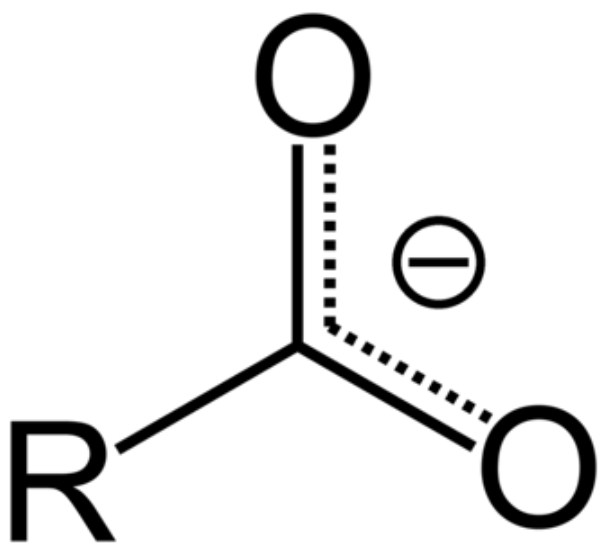 <p><span>This is a/an </span><span style="color: mediumseagreen"><strong>[... ion]</strong></span></p>