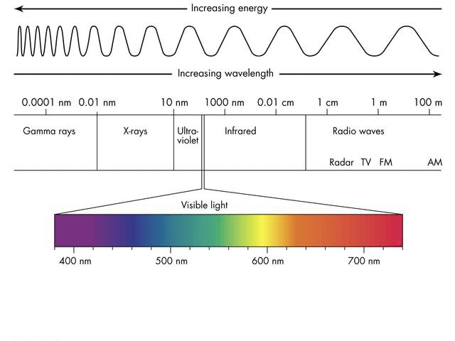 Radio waves, Microwaves, Infrared, Near Infrared, Visible light, Ultra-violet, X-rays, and Gamma Rays