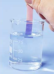 Is this solution acidic or alkaline?