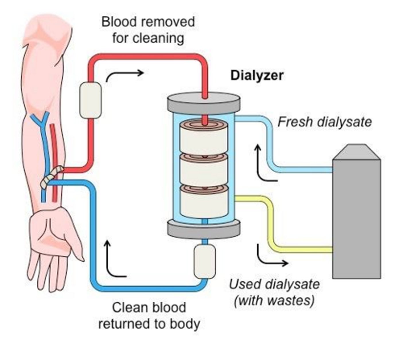 <p>The clinical purification of blood by dialysis, acting as a substitute for normal kidney function</p>