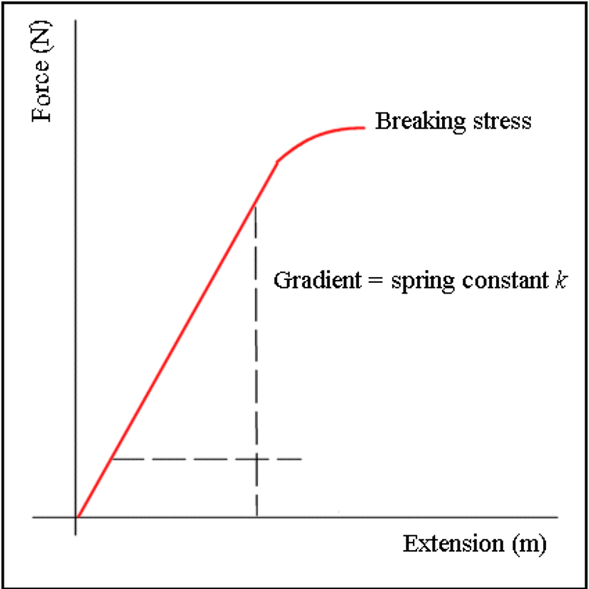 <p>spring constant k</p>