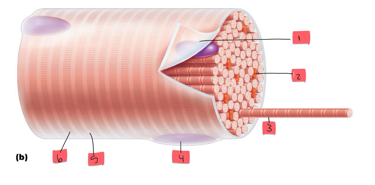 <p>1</p>