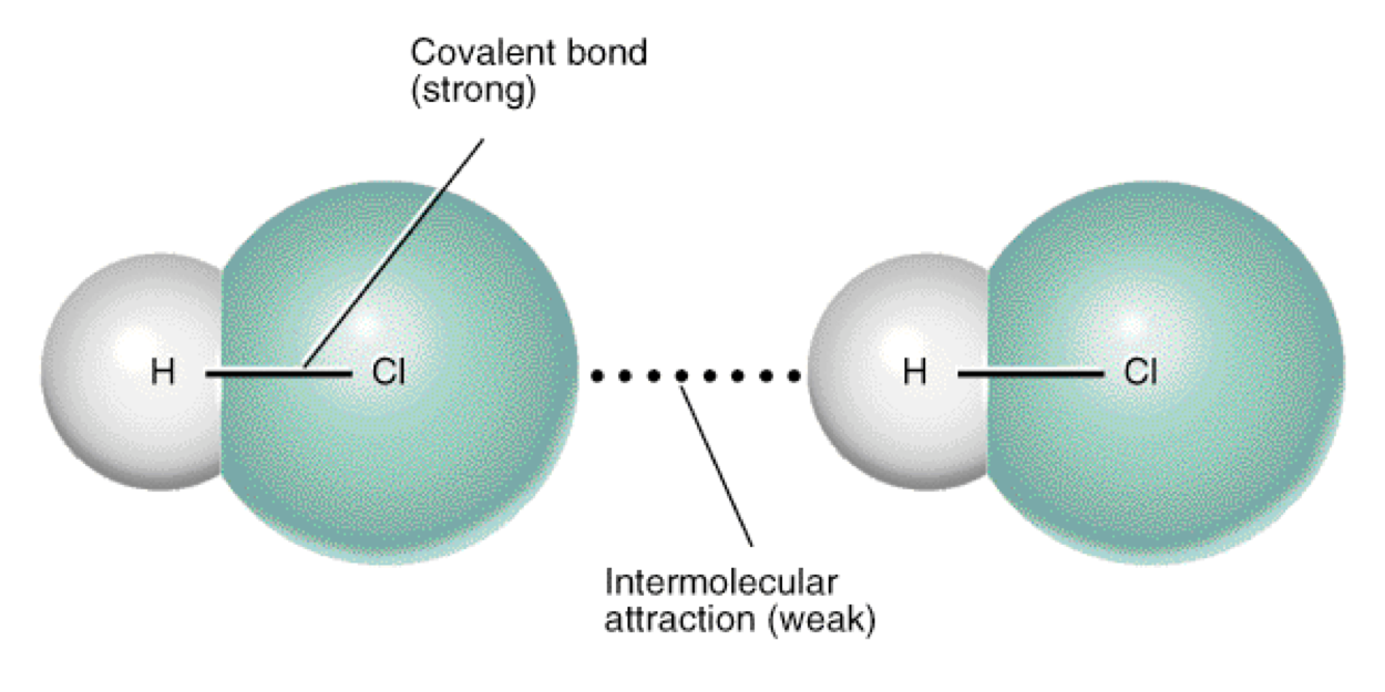 <p><span>•The strengths of intermolecular forces are generally weaker than either ionic or covalent bonds.</span></p>