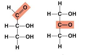 <p>what is the location of the ketose sugar in a monosaccharide (carbonyl group)</p>