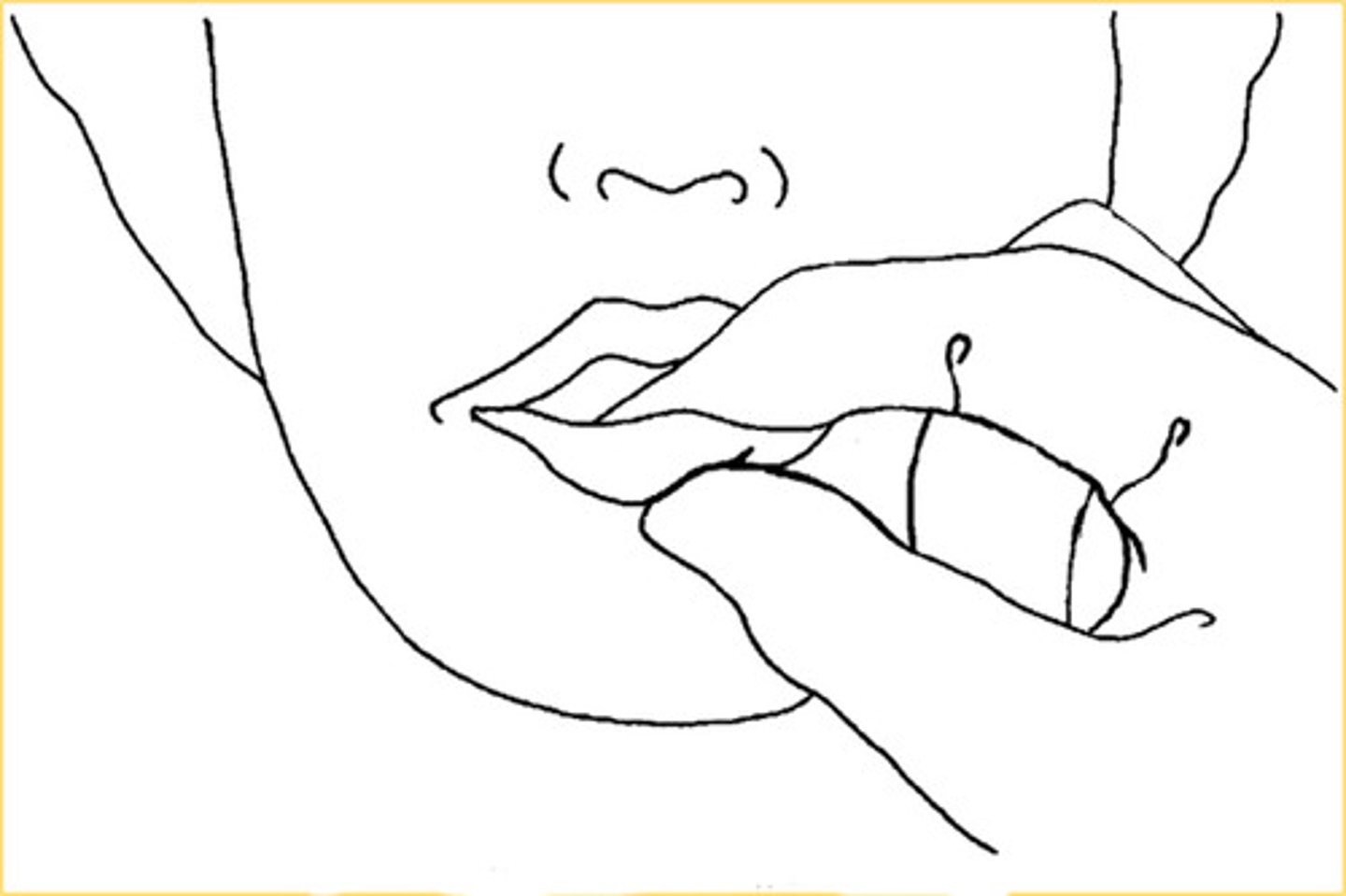 <p>~2 fingers</p><p>Ex: lips &amp; tongue</p>