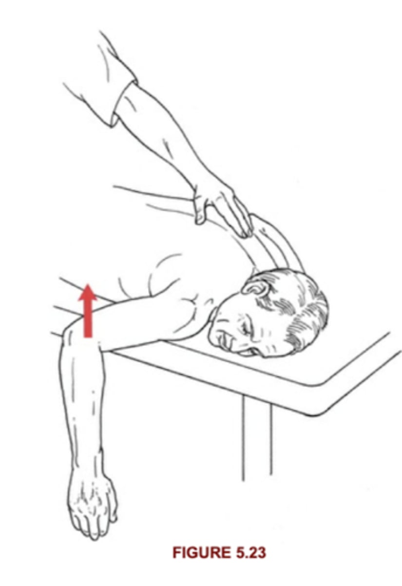 <p>Completes available range without resistance</p>