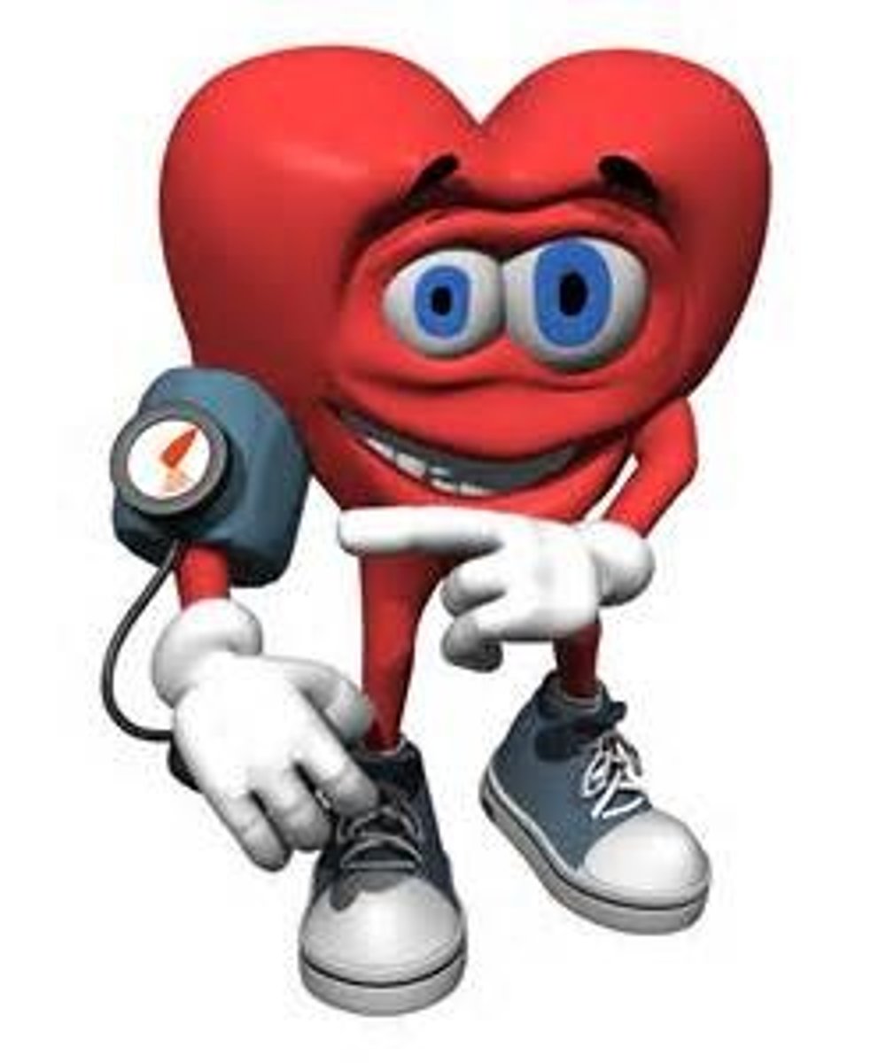 <p>blood pressure</p>