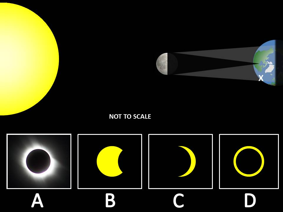<p><span style="background-color: transparent;"><span>Which letter best represents the view from the X?</span></span></p>
