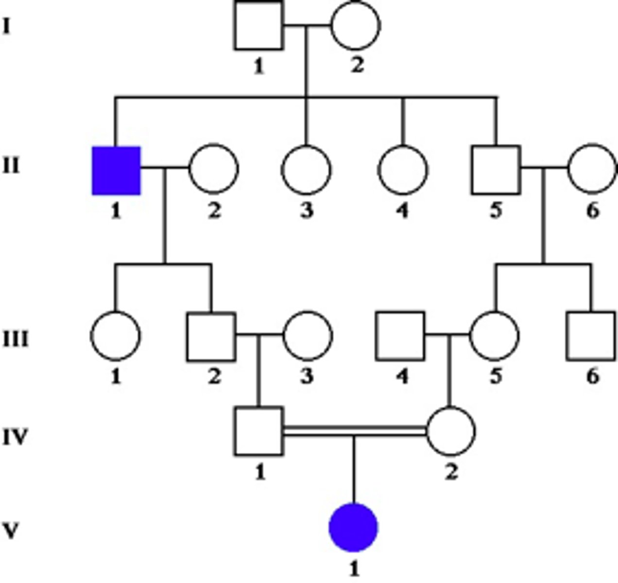 <p>Identify the pattern of inheritance:</p>