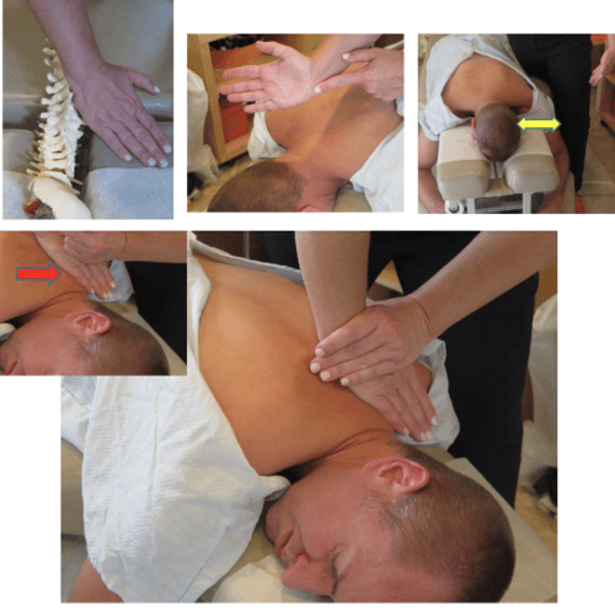 <p>• PP: Prone, headpiece below horizontal to produce slight flexion in the thoracocervical spine, permission to open gown/contact, identify segment, patient is instructed to turn head AWAY from contact</p><p>• DP: Standing in fencer stance on side of contact, facing cephalad, forward leg level at patient's head, body weight centered over midline of the patient</p><p>• CH: Hypothenar (pisiform) of caudal hand, contacting transverse process</p><p>• IH: Reinforce over hypothenar contact</p><p>• Vector: P-A*C7-T4</p>