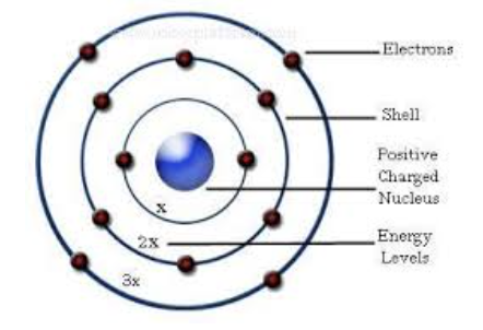 <ul><li><p><span style="background-color: transparent;">Electrons only have a specific amount of energy,&nbsp;</span></p></li><li><p><span style="background-color: transparent;">Organized in energy levels called shells</span></p></li><li><p><span style="background-color: transparent;">Electrons gain/lose energy to move between shells</span></p></li></ul><p></p>