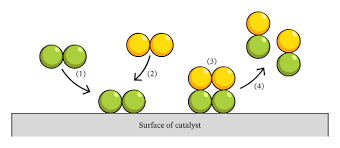 <p>-reaction takes place on surface of catalyst</p><p>reactant molecules form weak temporary bonds with surface of catalyst at the expense of their existing bonds getting weaker</p><p>- 2 molecules collide on surface of catalyst, bonds break more easily</p>