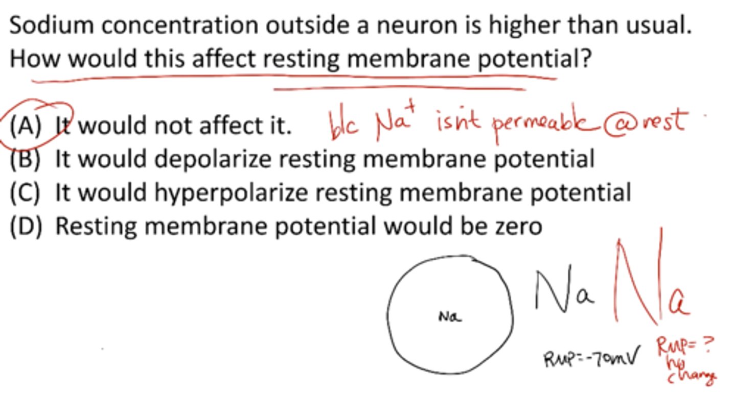 <p>A) it would not affect it</p>