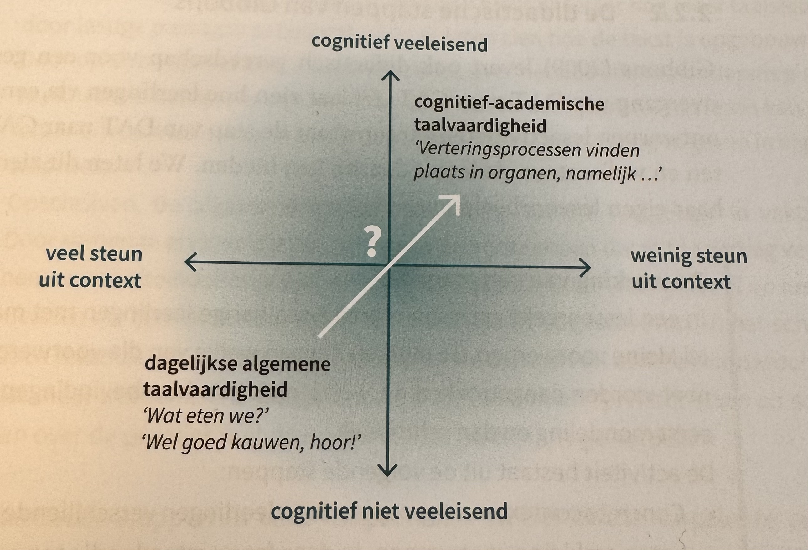 <p>Hoe helpt het kwadrant van Cummins bij het plannen van onderwijs?</p>