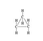 <p>what cycloalkane structure is this</p>