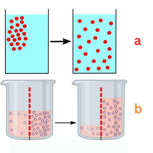 <p><strong>Label This Diagram</strong></p>