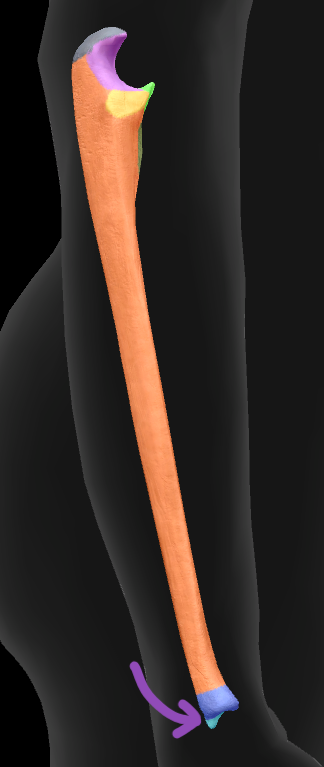 term image
