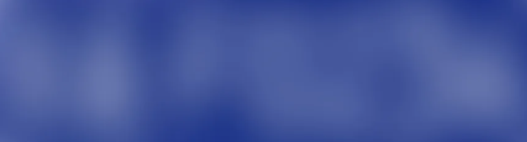 <p>Blue license plate</p>