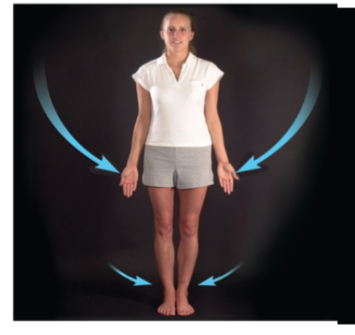 <p>movement back <strong>toward median plane </strong></p>