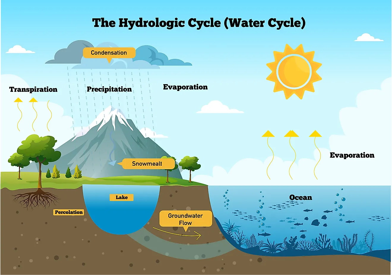 <p>troposphere because all living things live in the troposphere and weather only occurs in the troposphere Because all living things depend on water, the water cycles occurs in the troposphere</p>