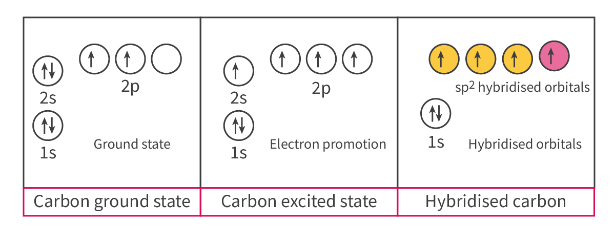<p>Sp2 hybridization:</p><p>	- During ______ bonds:</p><p>		○ There is ___ pi bond and ___ sigma bond (2 different bonds formed by different orbital overlaps, which DO NOT require the same level of hybridization)</p><p>		○ Undergoes sp2 hybridization, where ___ s-orbital and ___ p-orbitals would become hybridized to produce 3 equal orbitals, but 1 of the 2p-orbitals is left _______</p><p>			§ This unhybridized 2p-orbital forms the pi bond, which is part of the double bond</p><p>The other 3 sp2 hybridized orbitals form sigma bonds</p>