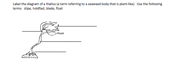 <p>label top down</p>