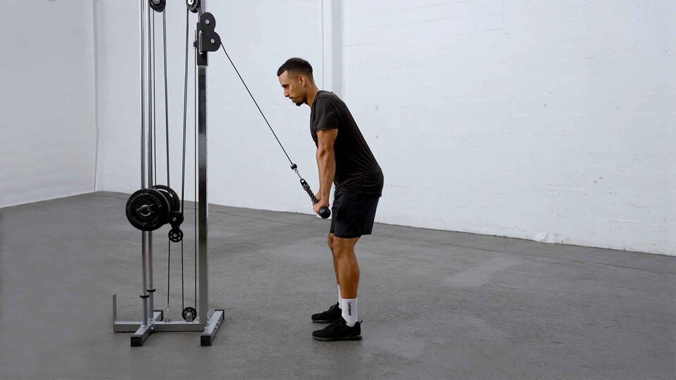 <p>Triceps Brachii</p>