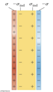<p>-a torque is produced and the molecules partially align with the field; the degree of alignment depends on temperature and the magnitude of the field</p><p>-the molecules produce an induced electrical plate opposite the original</p>