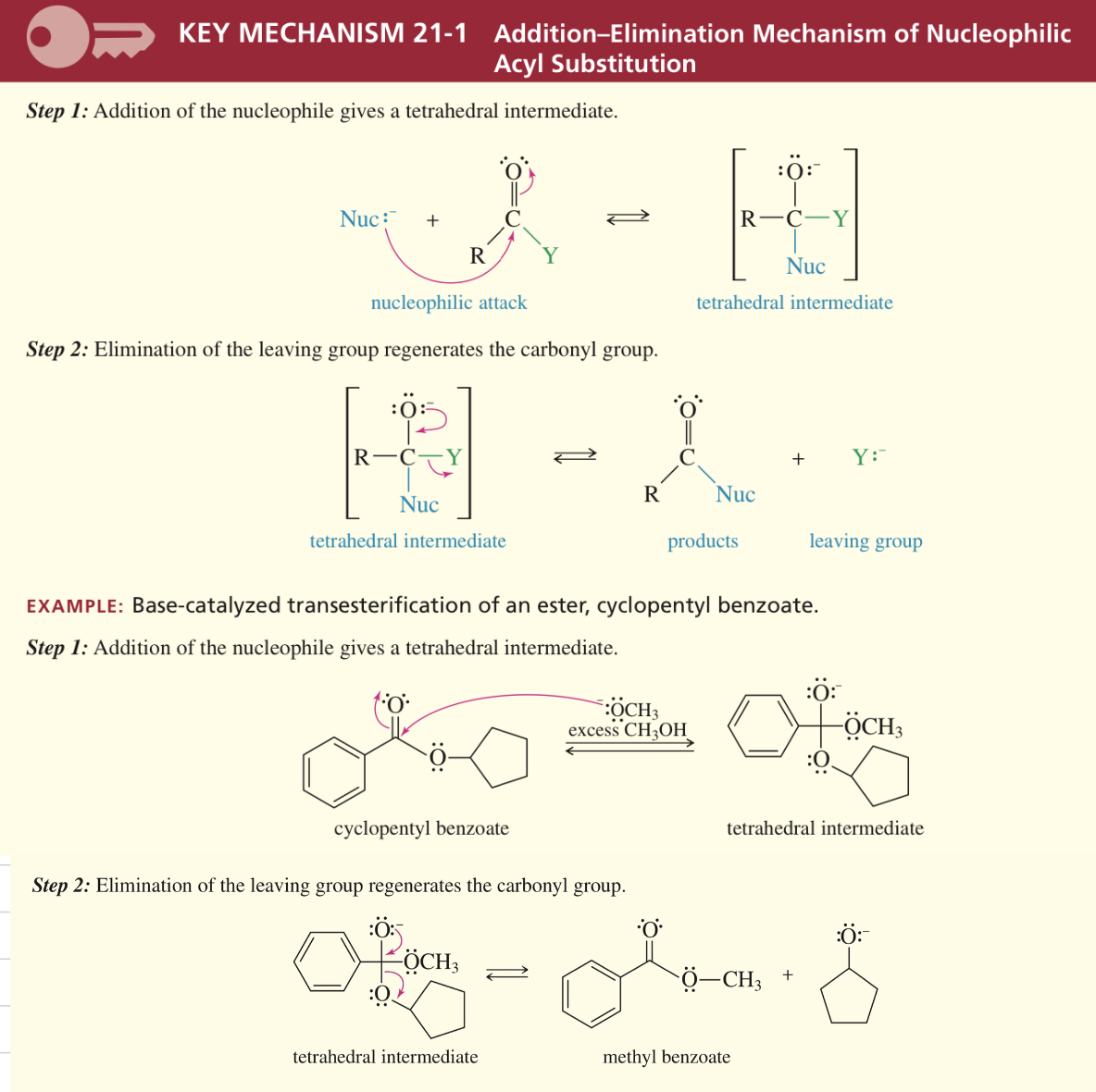 <p>Interconversion of acid deriv via add/elim mech</p>
