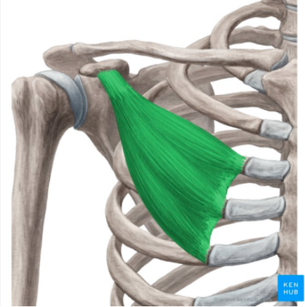 knowt flashcard image