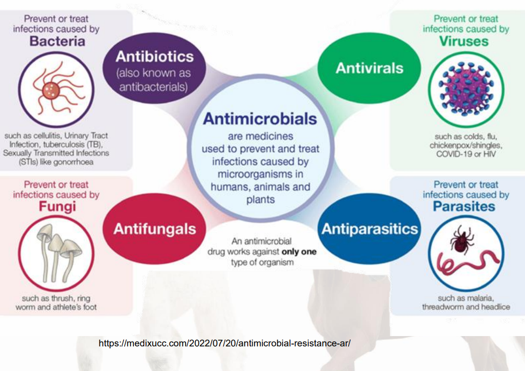 <p>medicines used to prevent and treat infections caused by microorganisms in humans, animals and plants </p><p>Antimicrobial drugs works only against ONE type of organism</p><ul><li><p>antibiotics( also known as antibacterials) </p><ul><li><p>prevents/treats infections caused by bacteria  ex: cellulitis, urinary tract infection, TB. STIs</p></li></ul></li><li><p>antifungals</p><ul><li><p>prevents/treats infections caused by fungi ex: thrush, ring worm, athletes foot </p></li></ul></li><li><p>antivirals </p><ul><li><p>prevent/treat infections caused by viruses ex: COVID, colds, flus, shingles/chickenpox</p></li></ul></li><li><p>antiparasitic</p><ul><li><p>prevent/treat infections caused by parasites ex: malaria, threadworm, and headlice</p></li></ul></li></ul><p></p>