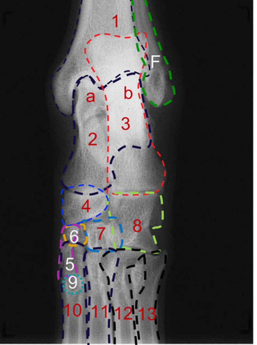 <p>What is number 3?</p>