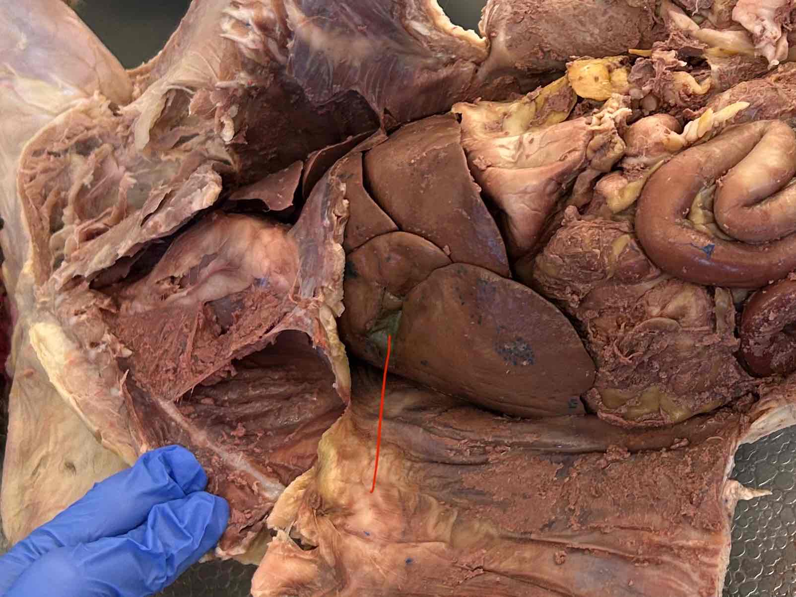 <p>What is this?</p>