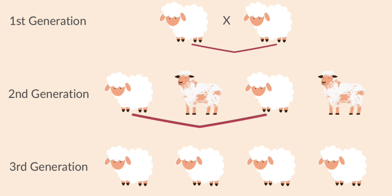 <p>why do we use selective breeding on animals</p>
