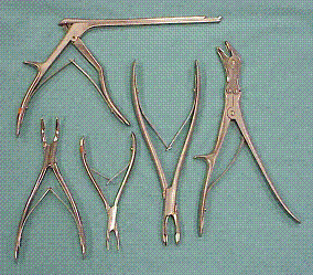 <p><span style="font-family: Lato Extended, Lato, Helvetica Neue, Helvetica, Arial, sans-serif">This picture shows Rongeurs.</span></p>