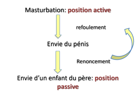 ➢Le complexe de castration inhibe la masculinité et favorise la féminité

➢Abandon de l’objet primaire: mère considérée comme « l’être sans pénis »

→ influence de l’envie du pénis

➢La mère est déconsidérée car elle n’a pas donné d’organe génital véritable