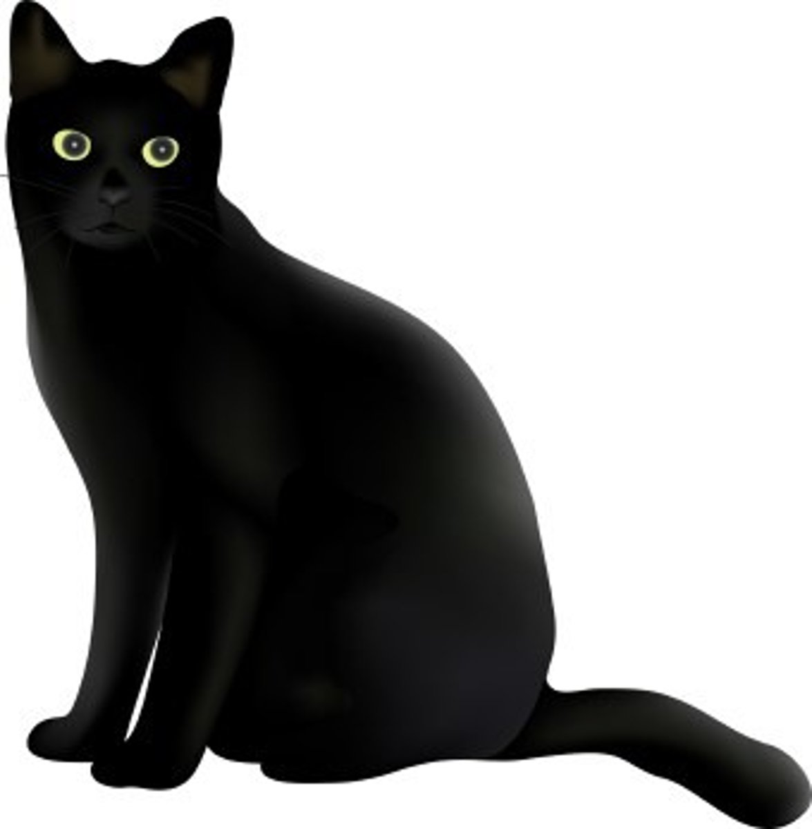 <p>black</p>