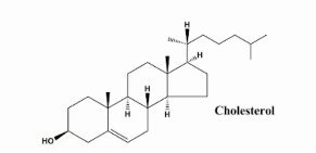 <p>Estruturalmente, é uma molécula caracterizada por quatro anéis coplanares formando um núcleo esteroidal apolar que faz parte de uma cauda hidrofóbica e um grupo hidroxila polar, tornando-o anfipático. </p>
