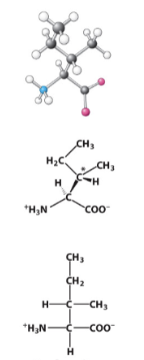 <p>Hydrophobic R-group. </p>