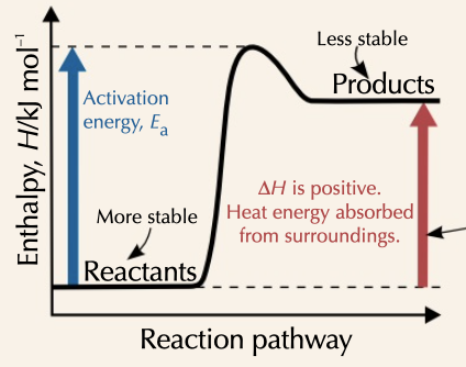 <p>enthalpy of reaction increases, with products ending with more energy than reactants started with</p>