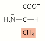 <p>Nonpolar, aliphatic</p>