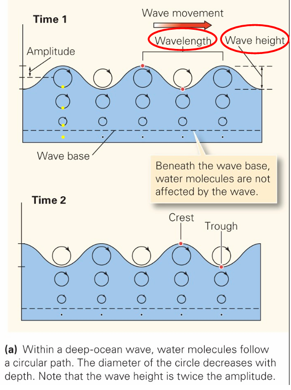 <p>• Wave height – distance between trough and crest </p><p>• Wavelength – horizontal distance between crests</p>