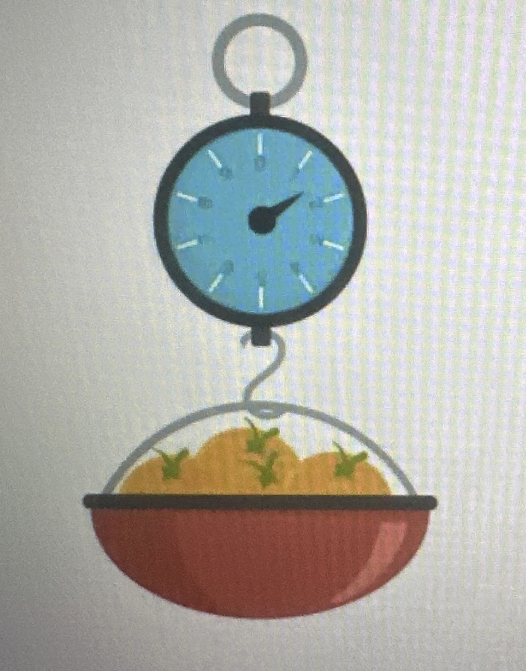 <p>Which of the following values best approximates the weight of the oranges in the image below?</p>