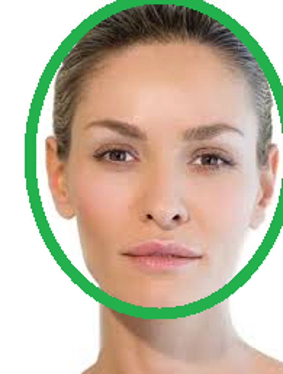 <p>face, expression, appearance, sight, front</p>