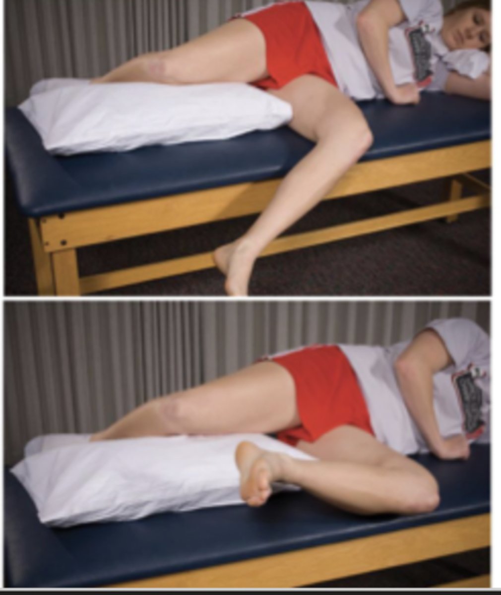 <p>pt sidelying with involved LE on bottom with hip and knee at 90 degrees flexion; pillow supporting uninvolved LE</p><p>-pt externally rotates against gravity</p>