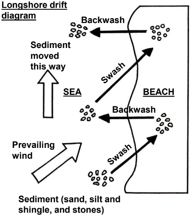 <ul><li><p>Prevailing wind forces swash to move up the beach, at an angle transporting sediment, while backwash goes back down the beach at 90 under gravity</p></li></ul>